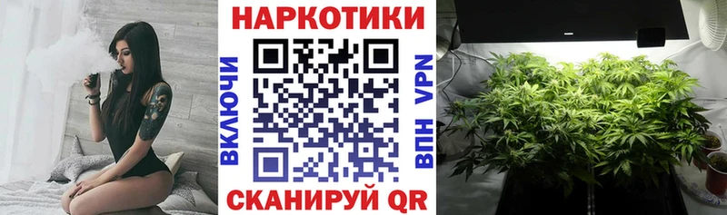 Купить закладку Метамфетамин  COCAIN  Меф  Бошки Шишки  А ПВП  Ефремов