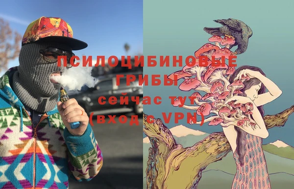 твердый Елизово