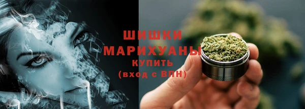 твердый Ельня