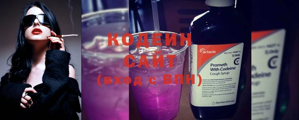 твердый Елизово