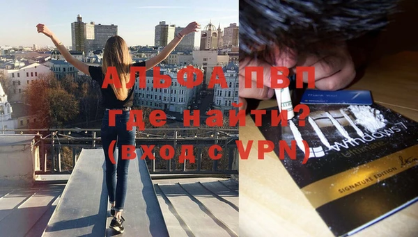 твердый Ельня