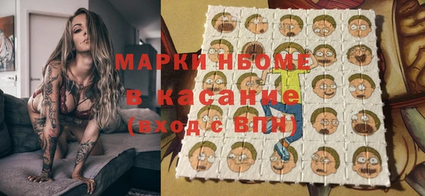 твердый Ельня