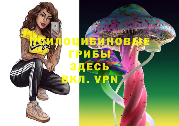 твердый Ельня