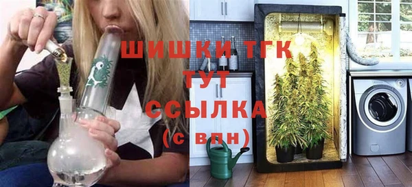твердый Ельня