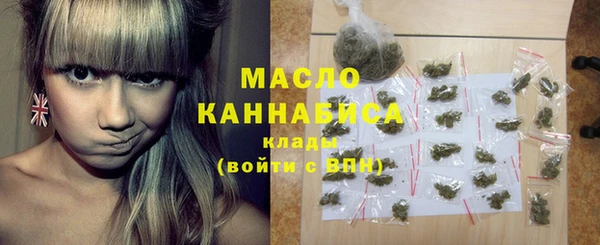 твердый Ельня